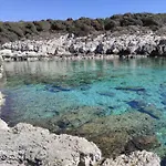 Anethum * بريمونتيرا