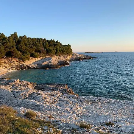 Anethum Apartmán