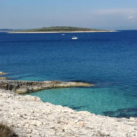 Anethum بريمونتيرا