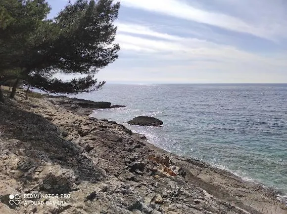 Anethum Apartament Premantura