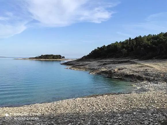 Anethum Apartament *