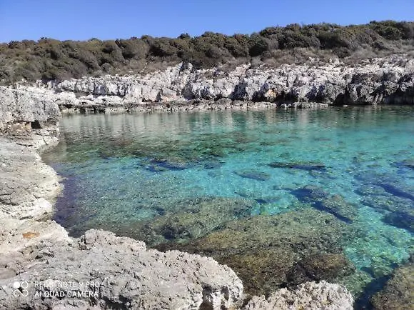 Anethum * Premantura