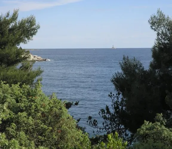 Apartament Anethum Premantura